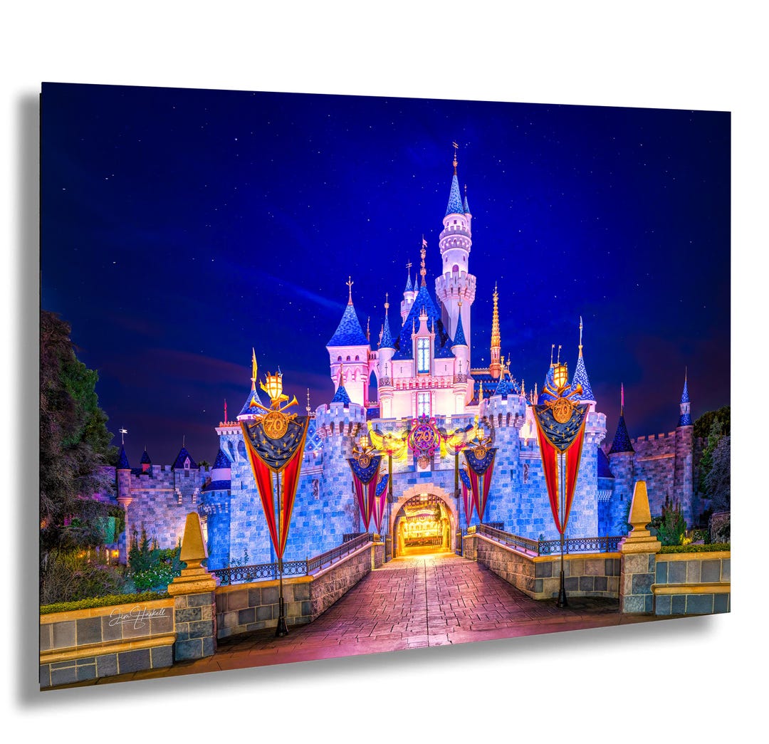 ディズニーランド70周年記念プリント：眠れる森の美女の城