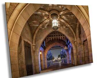Sleeping Beauty&#39;s Castle Bridge Disneyland  Fantasyland Print Canvas Acrylic Metal Wall Art Home Decor Wall Decor
