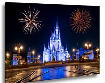 Cinderella's Castle with Fireworks Disney World Photo