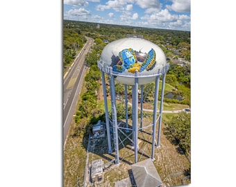 Impresión fotográfica de la tortuga de la Torre de Agua de Dunedin, Florida, Mural del Acuario de Georgia