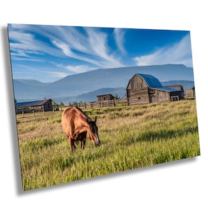 Pferd im Moulton Barns Grand Teton National Park Jackson Hole Wyoming Druck Papier/Leinwand/Acryl/Metall
