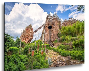 Animal Kingdom Expedition Everest Print - Disney World Coaster Photo