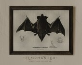 Vintage Vampire Bat Print, Witchy Wall Art, Dark Academia Print, Halloween Wall Art Printable, Spooky Wall Decor, Dark Art Digital Download