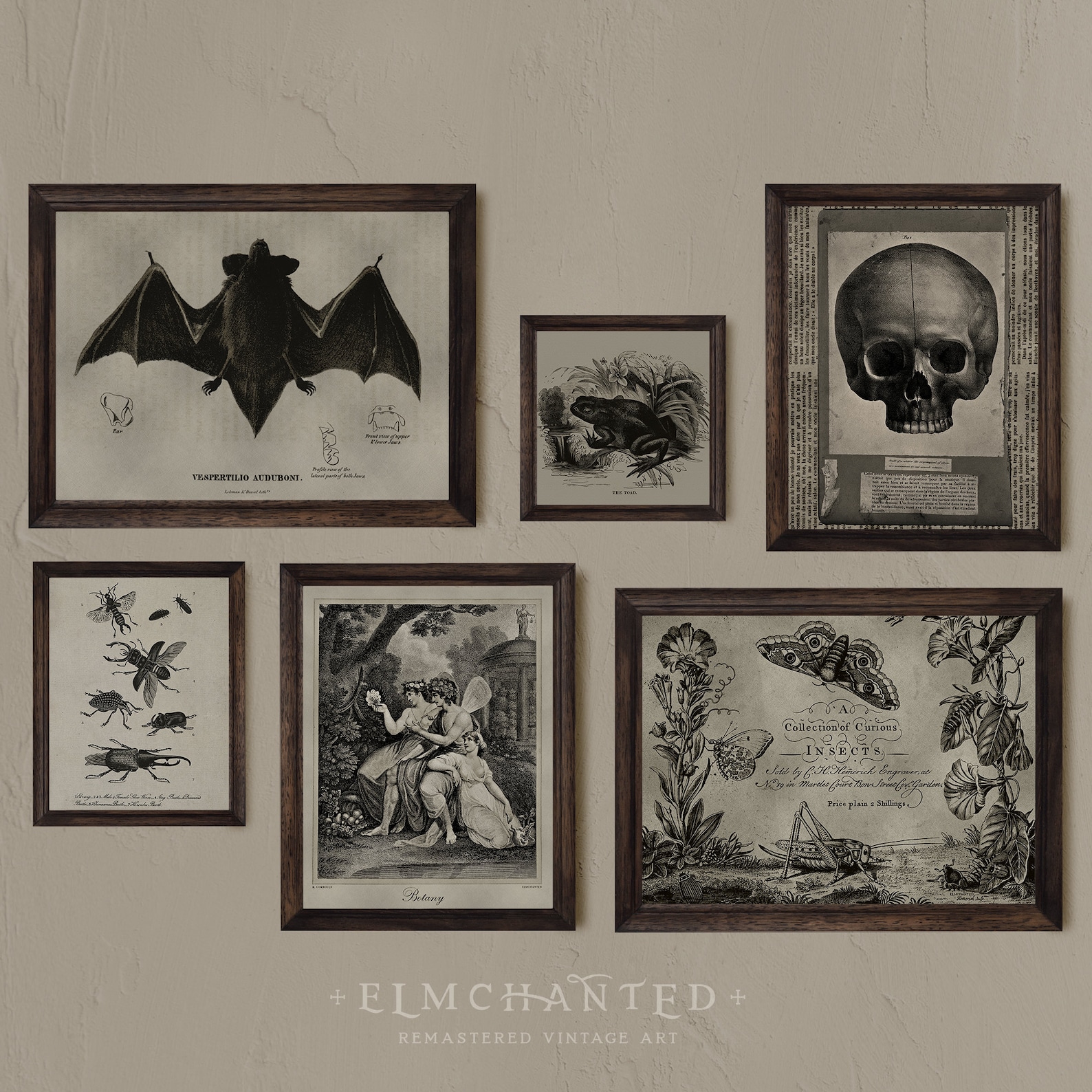 Set of 6 Vintage Dark Academia Prints | Vintage Room Decor Aesthetic ...