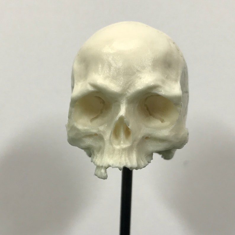 16th Scale Bone Just A Few Teeth Resin Human Skull Art Collectibles Sculpture Kromasol Com