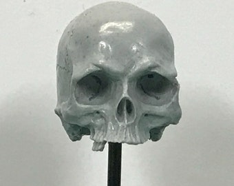 1/7th scale GREY just a few teeth resin skull perfect for 10 inch figures.