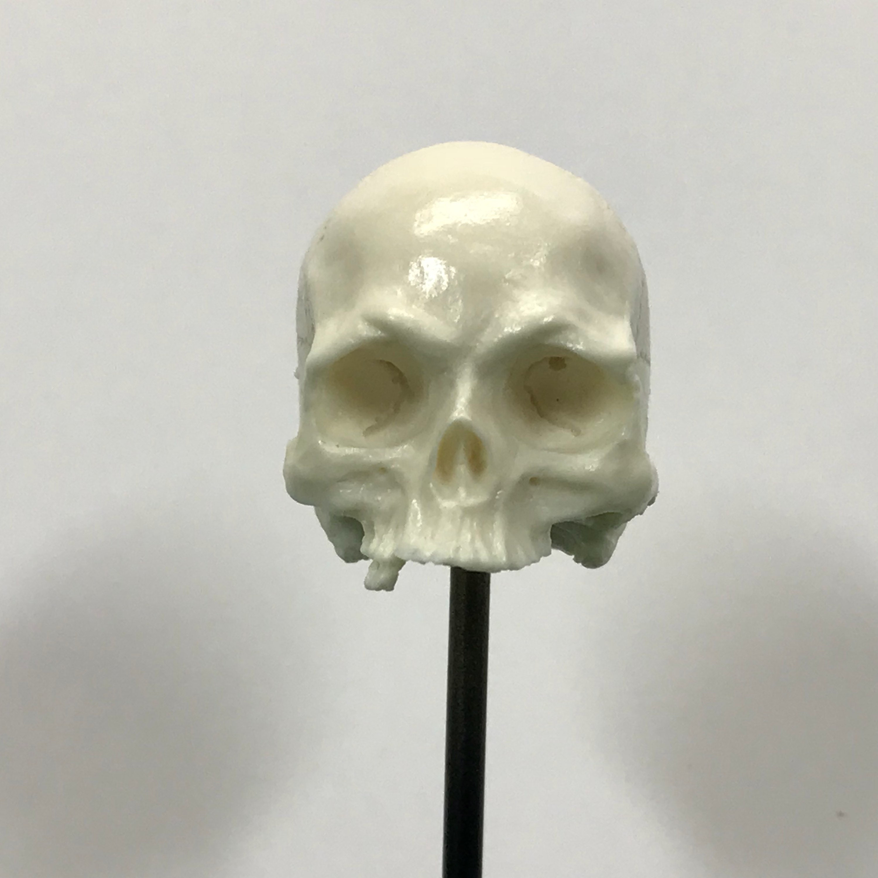 1/7th scale BONE just a few teeth resin skull perfect for 10 inch figures.