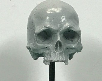 1/7th scale GREY missing middle teeth resin skull perfect for 10 inch figures.