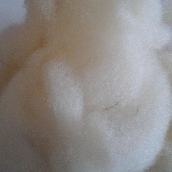 DORSET DOWN ROVINGS Needle felting core wool prize winning British conservation rare breed washed fleece minority status