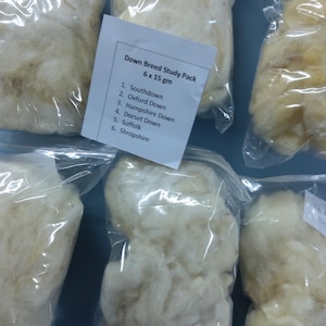 以下が含まれることがあります： 白い羊毛のサンプルがそれぞれ入った透明なプラスチック袋が6つあります。袋には「Down Breed Study Pack 6 x 15 gm」とラベルが貼られており、サウスダウン、オックスフォードダウン、ハンプシャーダウン、ドーセットダウン、サフォーク、シュロップシャーの品種が記載されています。