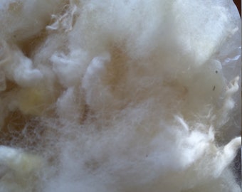 GALWAY rare breed sheep washed fleece