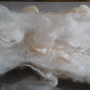May include: A large clump of white sheep's wool. The wool is soft and fluffy, and it appears to be freshly shorn.