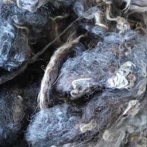 Op de afbeelding: Close-up van onbewerkte wolvezels in tinten grijs, bruin en crème. De vezels zijn strak gekruld en getextureerd, waardoor een dichte, natuurlijke uitstraling ontstaat. Ideaal voor spinnen, vilten of andere textielkunstprojecten.