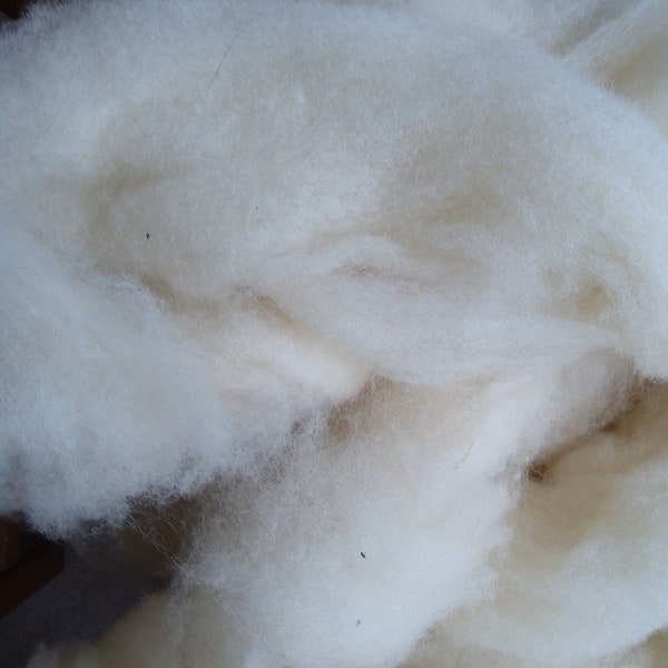 CLUN FOREST / Bluefaced Leicester Rovings /carded wool