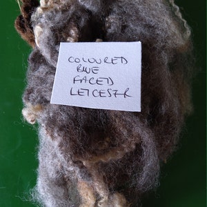 Pack d&#39;échantillons de race LEICESTER, laine longue, Bfl, bordure 5 x 20 g / 0,7 oz