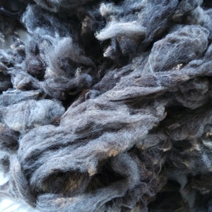 Fibra de oveja de raza británica rara de conservación, color gris Ryeland, lavada, en lista de vigilancia.