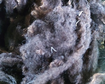 SHETLAND WHOLE FLEECE washed, Chocolate brown  from a conservation flock