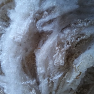 May include: A close-up of a pile of white sheep's wool. The wool is soft and fluffy, and it appears to be freshly shorn.