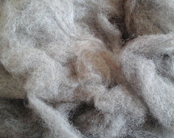 Laine BLUE TEXEL Rovings mouton de race britannique,