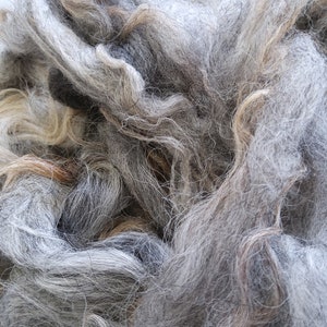 Könnte beinhalten: Nahaufnahme eines Stapels grauer, weißer und brauner Wollfasern. Die Fasern sind weich und flauschig und eignen sich perfekt zum Spinnen oder Filzen.