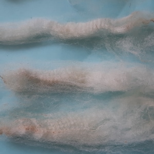 BOWMONT merino QUALITY SUPERFINE Raw Fleece rare british Merino style