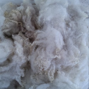 May include: A close-up of a white fluffy pile of wool fibres in a plastic bag.