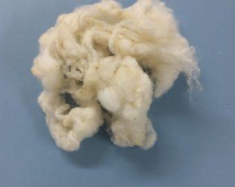 CHAROLLAIS FLEECE Sheep SOFT Washed fleece