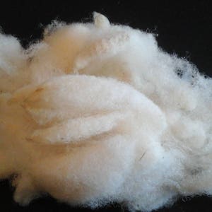 WHITE TEXEL FLEECE lovely soft washed fleece