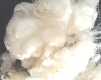 Wool PORTLAND RAW rare breed Sheep fleece  supersoft