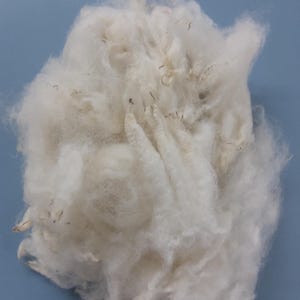 WELSH MULE shearling washed fleece