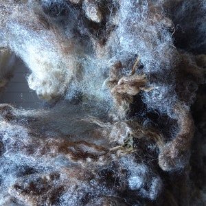 Op de afbeelding: Een close-up van een stapel bruine en witte wolvezels. De wol is zacht en pluizig en lijkt vers geschoren te zijn.