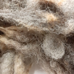 May include: Close-up of a pile of light brown and gray wool fibers. The fibers are soft and fluffy, and they are tangled together in a random pattern.