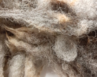 WOOL BLUE TEXEL sheep fleece  washed  mixed colour