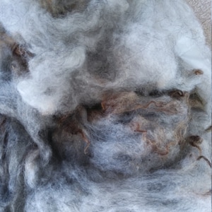 May include: A close-up of a pile of grey and brown wool fibres. The wool is soft and fluffy, and it appears to be hand-spun.