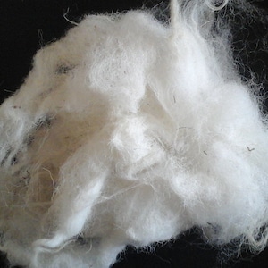 Può includere: Un primo piano di un ammasso di fibre di cotone bianche. Le fibre sono morbide e soffici, e sono aggrovigliate in uno schema casuale.