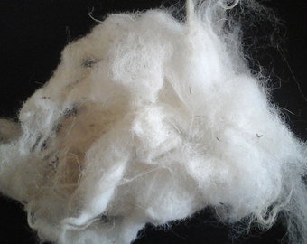 ROUGH FELL washed sheep fleece on rare breed watchlist