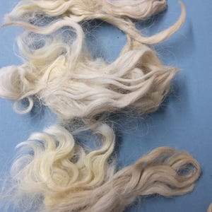 May include: A close-up of a pile of white, fluffy fibers. The fibers are soft and delicate, and they appear to be natural.