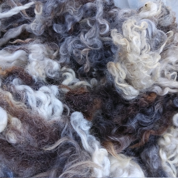 GOTLAND LOCKS unusual  mixed colour washed soft locks