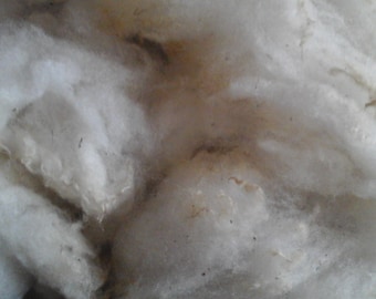 WOOL ROUSSIN de la Hague washed Sheep fleece rare breed 9sheep