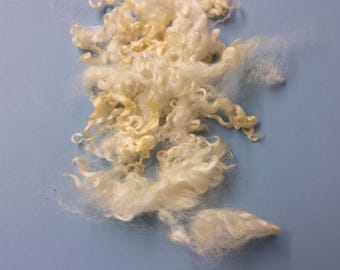 LEICESTER LONGWOOL supersoft washed locks British rare breed vulnerable status
