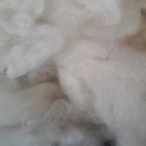 BELTEX sheep Washed fibre  from British Sheep