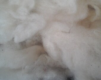 BELTEX sheep Washed fibre  from British Sheep