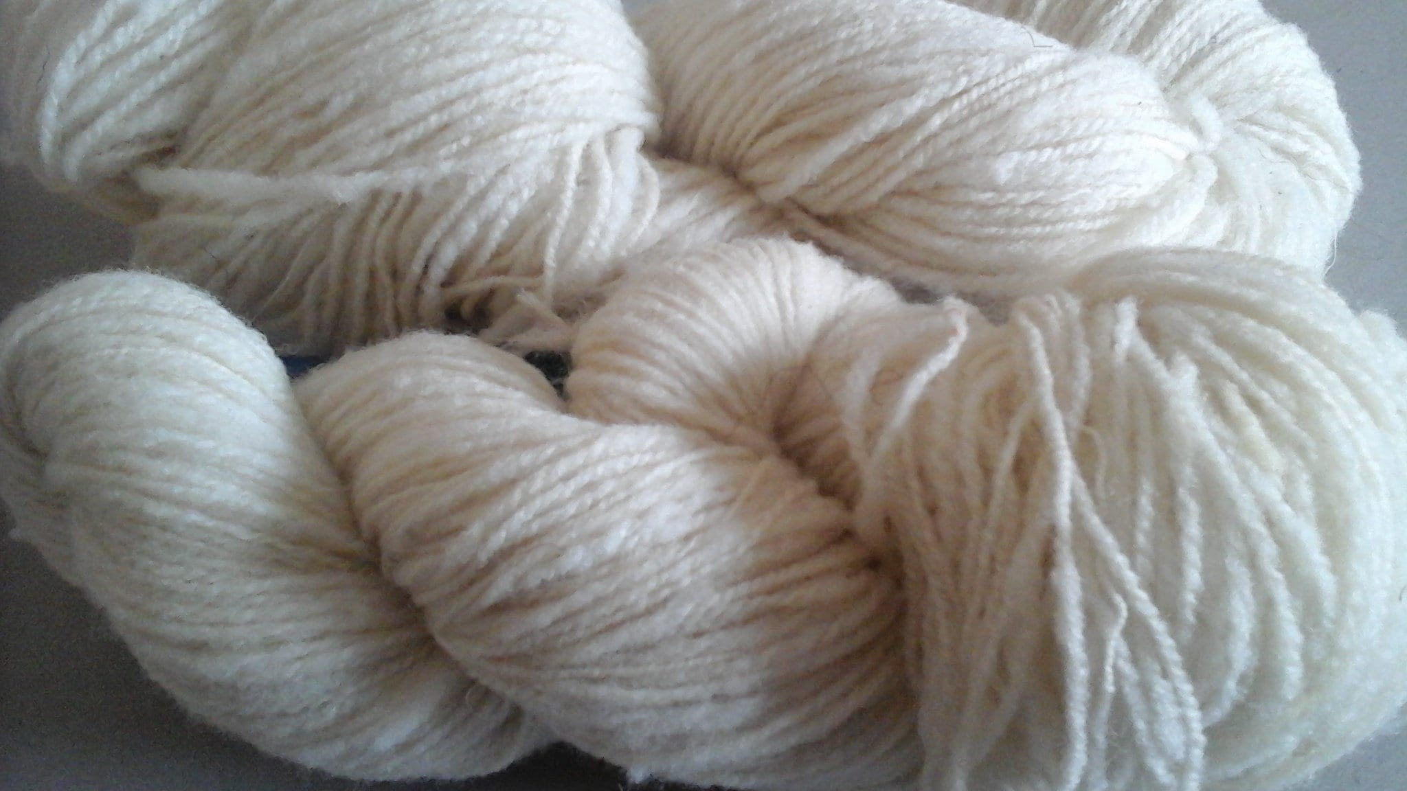 WHITE RYELAND HANDSPUN yarn British conservation rare breed on watchlist