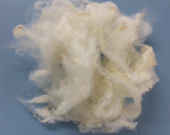 ABERFIELD washed sheep fleece, new breed texel x Bluefaced Leicester