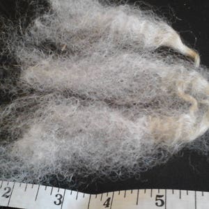 DEVON CLOSEWOOL British rare breed minority status washed fleece