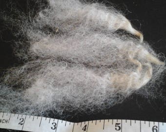 DEVON CLOSEWOOL British rare breed minority status washed fleece