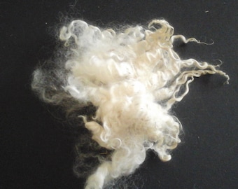 LINCOLN LONGWOOL LOCKS lavó el estatus vulnerable de raza rara británica