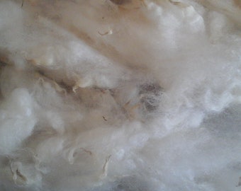 HIGHLANDER beautifully soft washed fibre  new sheep breed