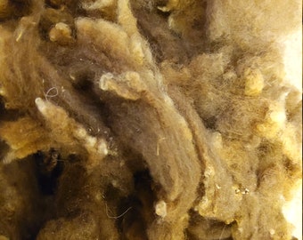 SHETLAND Fleece soft brown Washed  from a British conservation flock