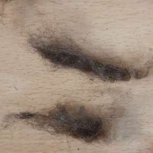 Könnte beinhalten: Vier Büschel braunen Haares auf einer hellbraunen Holzoberfläche.